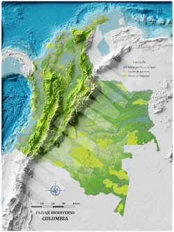 Mapa con efecto de relieve (impresión 2D) | Paisaje Biodiverso de Colombia