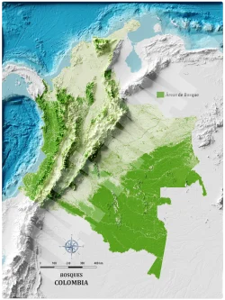 Mapa con efecto de relieve (impresión 2D) | Bosques de Colombia